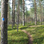 marked trail